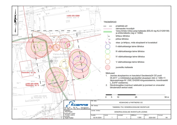 Tammiku tn 2 dendroloogiline inventuur_joonis 1_2024.04.02_001